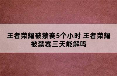 王者荣耀被禁赛5个小时 王者荣耀被禁赛三天能解吗